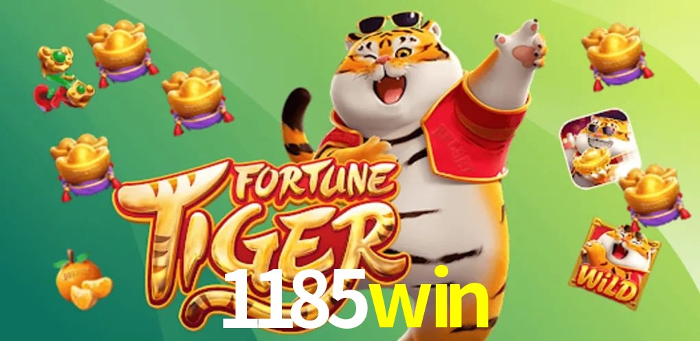 Experiência VIP 1185win