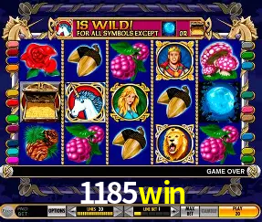Live Casino 1185win